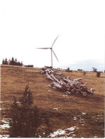 Küstenerträge dank Gipfellage Küstenerträge dank Gipfellage