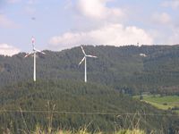 Holzschlägermatte vom Eckhof Holzschlägermatte vom Eckhof